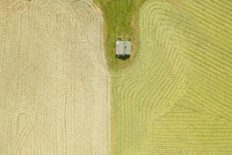 Campo agricolo lavorato visto dall'alto